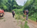 งานป้องกันฯ  ซึ่งดำเนินการตัดกิ่งไม้ข้างทางบริเวณถนนสี่แยกเท