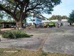 กองช่าง และงานป้องกันฯ  ดำเนินการตัดแต่งกิ่งไม้  ณ  โรงเรียน