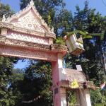 ตัดกิ่งไม้ ทำความสะอาด และส่งน้ำอุปโภคบริโภค ที่วัดมัชฌิมาวง