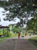 กำจัดต่อหัวเสือ โรงเรียนบ้านเหล่าแชแลหนองแวง