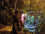 การตัดต้นไม้ที่ล้มขวางถนน ณ ถนนบ้านเหล่าหมากบ้า หมู่ที่ 7