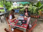 ลงพื้นที่เก็บภาษีโรงเรือน/ที่ดิน และสิ่งปลูกสร้าง